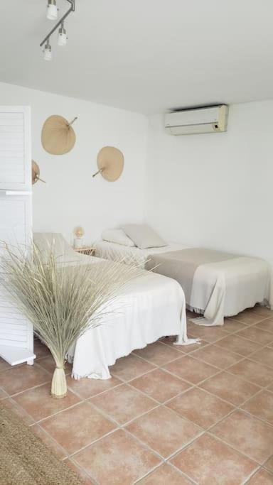 Maison Planier, Havre De Paix Proche Mer Et Centre 소세레팽 외부 사진